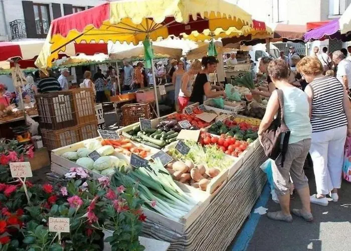 Casa de Férias Charming 14th Century Village Chateau With Gardens And Outdoor Pool *