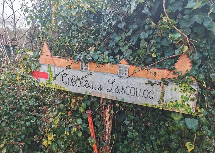 Charming 14th Century Village Chateau With Gardens And Outdoor Pool Celles (Dordogne)